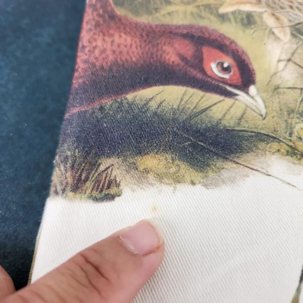 Southern Living Pheasant Set of Napkins 20X20 in. 100% Cotton 3 sets of 4 (12)